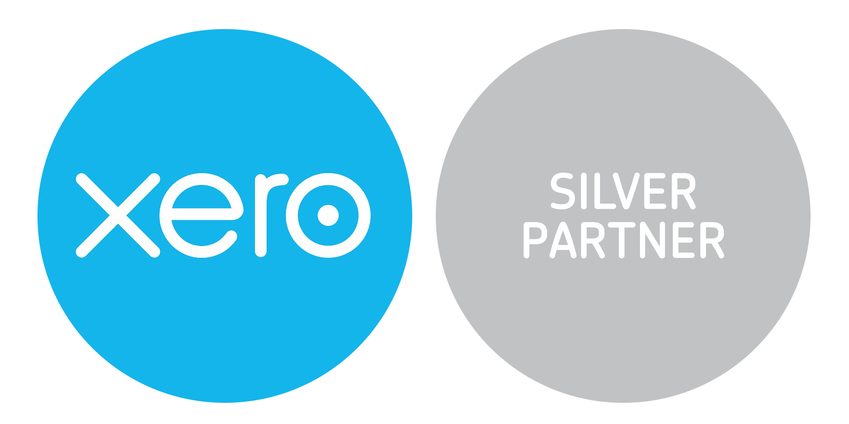Xero Silver Partner Image